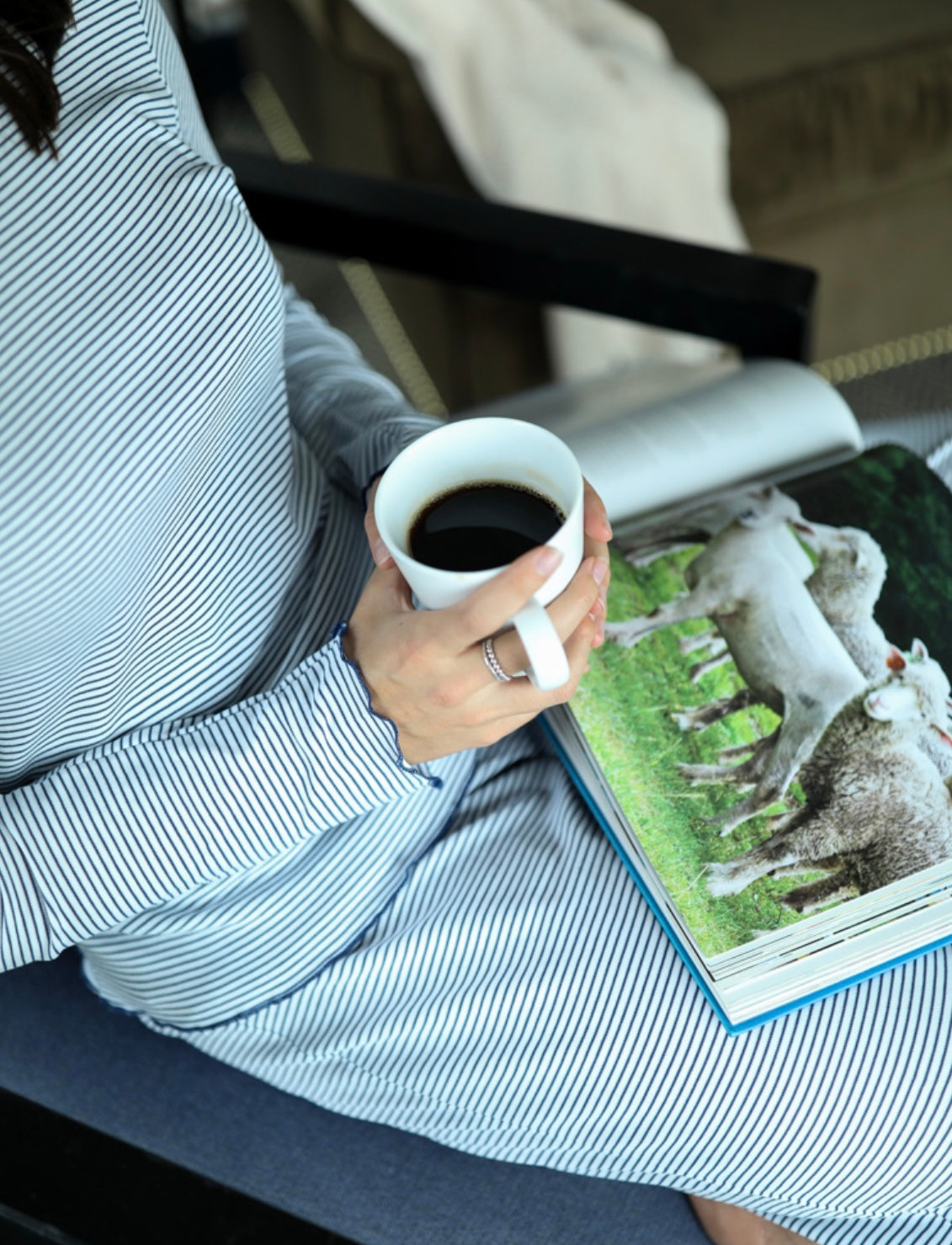 Pima Long Pajama Set - Navy Stripe