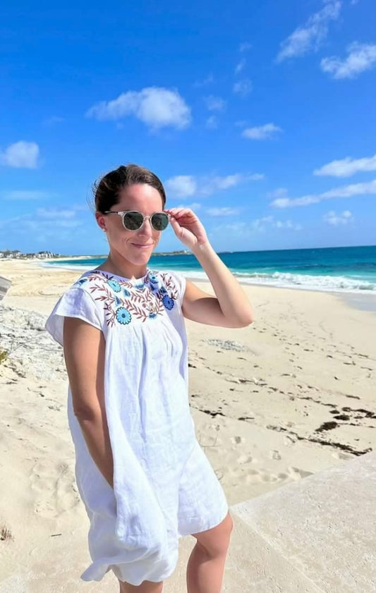 Cabo Embroidered Dress - Blue Brown